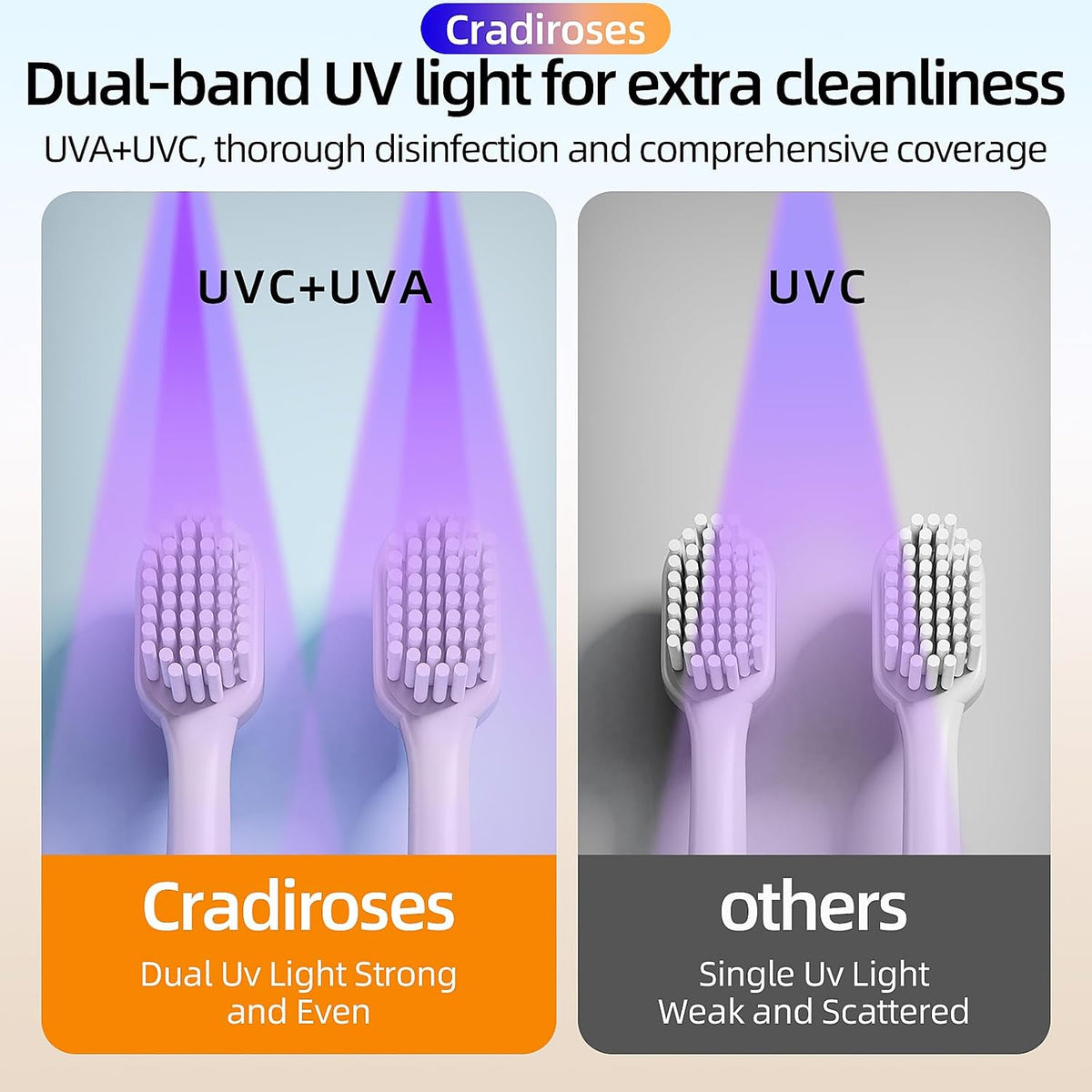 UV Toothbrush Sanitizer Holder for Bathroom, Wall Mounted Heated Drying